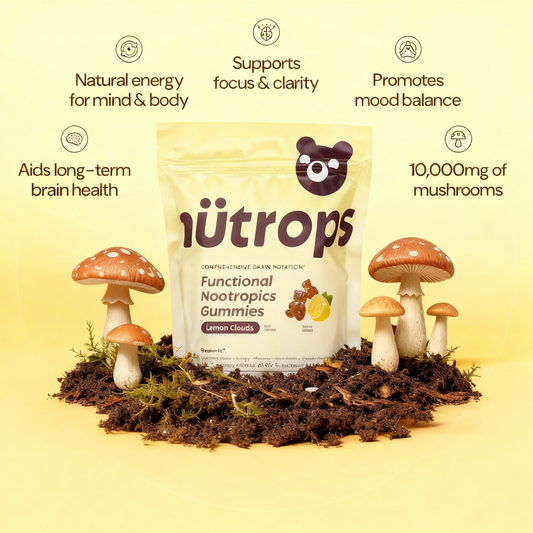 Nütrops Daily Gummies-Daily Gummies-Elevate Your Brain Health, Energy & Wellness with 6 Power-Packed Mushrooms